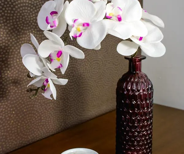 City5 & By Lsa Hotel